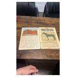 early 1900s international illustrated stock book