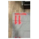 mighty David #11 horse blanket Delmar 2002