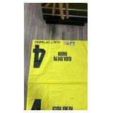 quiet optimism #4 golden rod horse blanket