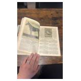 early 1900s international illustrated stock book