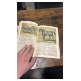 early 1900s international illustrated stock book