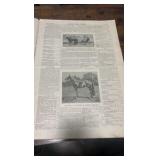 1902 the American horse breeder Dan patch magazine