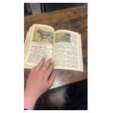 early 1900s international illustrated stock book