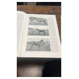 1896 racing illustrated magazine