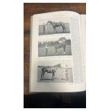 1896 racing illustrated magazine