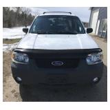 2007 Ford Escape XLT FWD