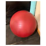 Nautilus Black Folding Gym Mat - Aqua Yoga Mat & Red Stability Ball