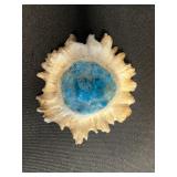 Sunburst Fossil Fragments in Beige Sandstone Inc Moose Picture Buckle, Unknown Tooth & Moose Antler