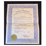 P - "Explosion" White Mitsumata Branches & Papers by Cyndi Myllynne