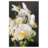 K - Phalaenopsis Orchid Artificial Arrangement