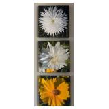 K - Three Thomas J. Styezynski Photography Canvas Prints