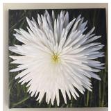 K - Three Thomas J. Styezynski Photography Canvas Prints