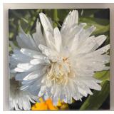 K - Three Thomas J. Styezynski Photography Canvas Prints