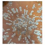 DR - Gorgeous Signed Pottery Console Bowl