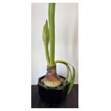 P - Faux Florals - Red Flower