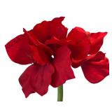 P - Faux Florals - Red Flower