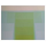 LB - Karl Gerstner Color Sounds Serigraph - 69/175 (Framed)