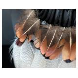 K - Feather Choker Necklace with Black Fringe & Brown-Orange Feathers