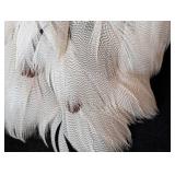 K - Feather Choker Necklace with Black Fringe & Brown-Orange Feathers