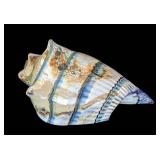 UL - Marty Hook Blown Glass Conch Shell