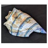 UL - Marty Hook Blown Glass Conch Shell