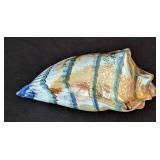 UL - Marty Hook Blown Glass Conch Shell