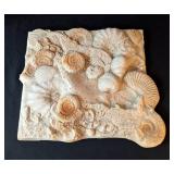 LB - Seashell Plaster Wall Plaque - Shell Relief