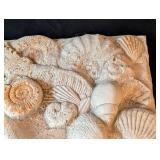LB - Seashell Plaster Wall Plaque - Shell Relief