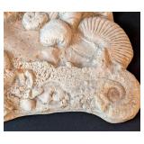 LB - Seashell Plaster Wall Plaque - Shell Relief