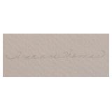 LB - Suzanne Thomas Shell Relief - Framed Wall Art