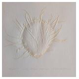 LB - Suzanne Thomas Shell Relief - Framed Wall Art