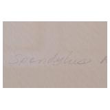 LB - Suzanne Thomas Shell Relief - Framed Wall Art