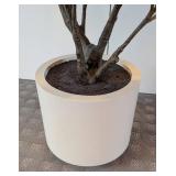 UL - Faux Rubber Plant - 3.5 ft Tall in White 10-in Pot
