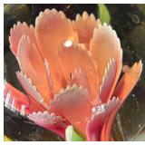 K - Pink Floral Glass Paperweight