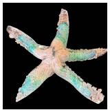 K - Exquisite Art Glass Starfish