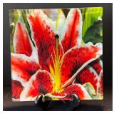 DR - Prima Donna Stargazer Lily Glass Platter