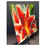 DR - Prima Donna Stargazer Lily Glass Platter