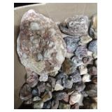 Lot of Rocks with Agates