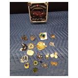 Plastic case of vintage pins