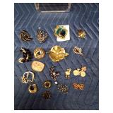 Plastic case of vintage pins