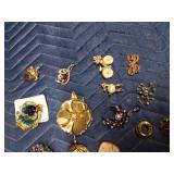 Plastic case of vintage pins