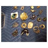 Plastic case of vintage pins