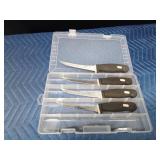 4 Kaicut fillet knives in a plastic tackle organizer