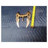 Kit Rae "Fang of Baelin" (KR3) fantasy knife by United Cutie