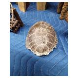 Moss/vine deer & watering can, vine/twig doll furniture. turtle shell and wood book ends