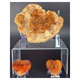 Stunning 3-Piece Polished Madagascar Petrified Wood Display Set.  12.2 oz / 348 g.
