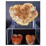 Stunning 3-Piece Polished Madagascar Petrified Wood Display Set.  12.2 oz / 348 g.