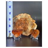 Stunning 3-Piece Polished Madagascar Petrified Wood Display Set.  12.2 oz / 348 g.