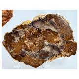 Set of 3 Polished Petrified Wood Slabs – Vibrant Triassic Fossils.   2lbs 2.4 oz / 977 g.