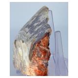 Stunning Polished Mexican Crazy Lace Agate Specimen – Intricate Banding.    1 lb 1.1 oz / 485 g.